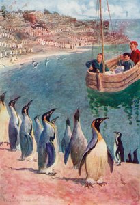 Vi stirrede på fuglene med overraskelse og fornøjelse, de vendte vores blik tilbage med interesse af William Henry Charles Groome