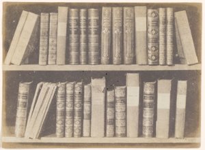 En scene i et bibliotek, plade VIII fra Naturens blyant af William Henry Fox Talbot