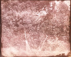 Kost og spade, 1842 af William Henry Fox Talbot
