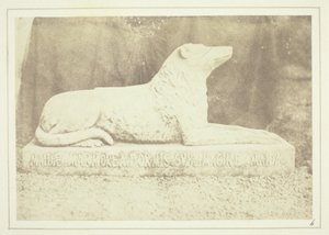 Figur af Sir W. Scotts yndlingshund Maida, ved siden af døren til hallen i Abbotsford af William Henry Fox Talbot