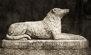 Statue af Maida, rapporteret at være Sir Walter Scotts yndlingshund. (sepia billede) af William Henry Fox Talbot