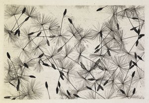 Talbot foto 24 1730 af William Henry Fox Talbot