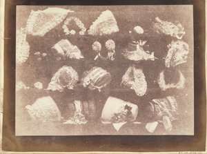 Milliner -vinduet af William Henry Fox Talbot