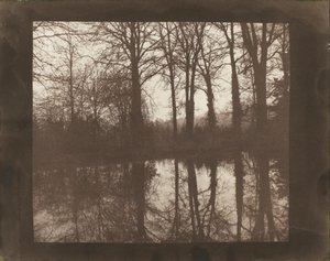 Træer og refleksioner