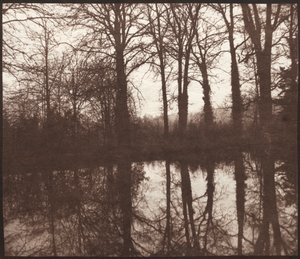 Vintertræer reflekteret i en dam, 1841-42. af William Henry Fox Talbot
