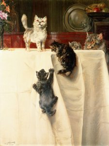 Katte