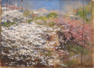 Mark med blomster af William Henry Holmes
