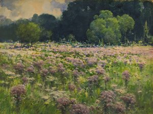 Field of Joe Pie Weeds Pride of the Meadow, n.d.