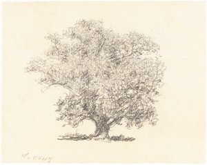 Et træ i fuldblade af William Henry Hunt