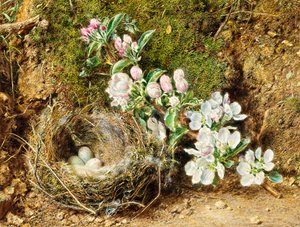 Gren af Æbleblomst og Fuglerede af William Henry Hunt