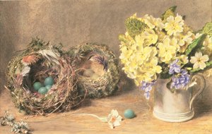 Forårsblomster og fuglerede, ca. 1830 (akvarel og kropsfarve på papir) af William Henry Hunt