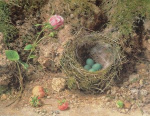 Stilleben med fuglerede af William Henry Hunt
