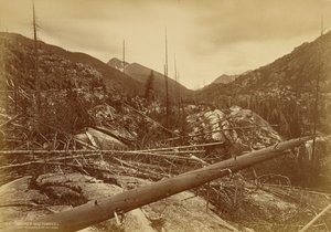  af William Henry Jackson