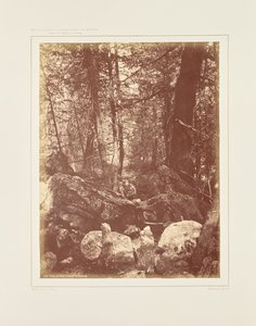 Sporet i skoven, Gallatin Cañon af William Henry Jackson