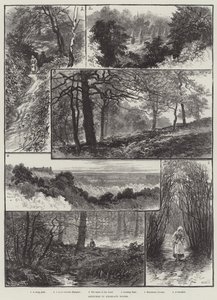 Skitser i Highgate Woods af William Henry James Boot