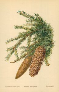 Gran-grankogler af William Henry James Boot