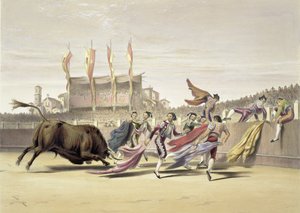 Chulos spiller tyren, 1865