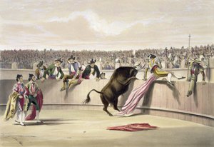 Tyren springer over barriererne, 1865