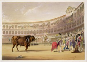 The Matador, 1865