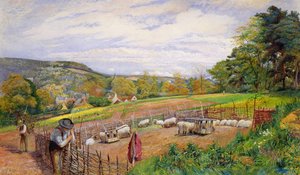 Mending the Sheep Pen, 1858