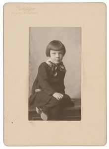Natt Noyes Dodge, ca. 1904 (foto) af William Henry Partridge