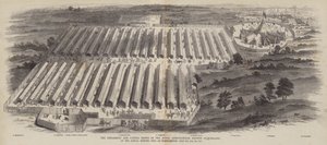 The Implement and Cattle Shows of the Royal Agricultural Society of England, ved det årlige møde afholdt i Northampton, 20., 21., 22. juli 1847