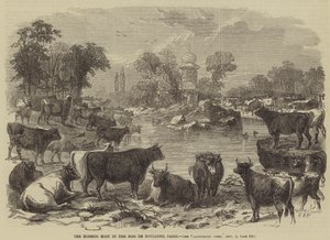 Den hornede vært i Bois de Boulogne, Paris