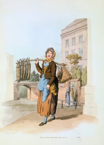 Kaninsælger, 1808 af William Henry Pyne