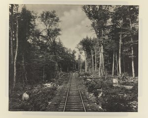 Ganoga Lake Branch, L.V.R.R., ca. 1899 (platintryk)