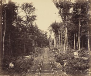 Ganoga Lake Branch, ca. 1895 (foto) af William Herman Rau