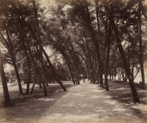 Picnicplads, ca. 1895 (foto) af William Herman Rau