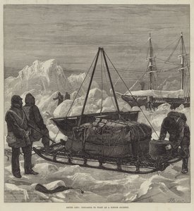 Arctic Life, forbereder sig på at starte på en slæderejse