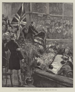 Stort møde for irske delegerede i Albert Hall, der hepper på Union Jack af William Heysham Overend