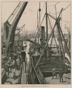 Forsendelsesmateriale hos Woolwich til Souakim Railway (gravering) af William Heysham Overend