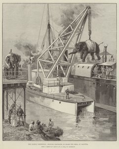 Looshai-ekspeditionen, der sender elefanter ombord på Simla i Calcutta