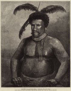 Zulu-krigen i Sydafrika, Cetewayo, Zulu-kongen