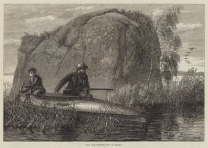 Skydning af vilde ænder, vest for Irland gravering