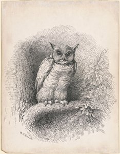Ugle af William Holbrook Beard
