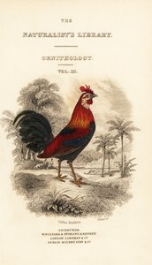 Titelblad med vignet af rød junglefugl (Javan), Gallus gallus bankiva af William Home Lizars