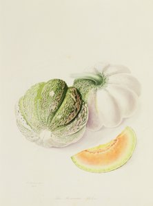 The Romana Melon, 1818