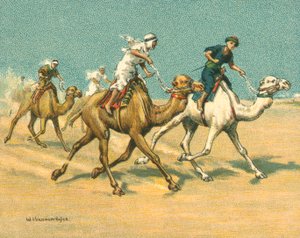 Races Historiske og Moderne, Camel Races (chromolitho)