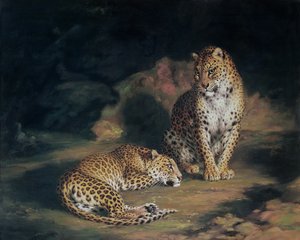 Et par leoparder, 1845