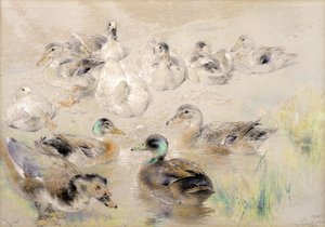 Studie af ænder af William Huggins