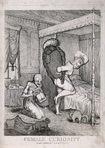 Kvindelig nysgerrighed af William Humphrey