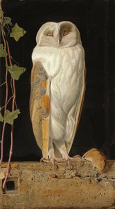 Den hvide ugle: "Alene og varmer sine fem forstande, sidder den hvide ugle i klokketårnet", 1856 af William J. Webbe