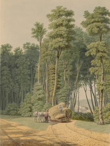 Sommer - et trafikuheld. Et glimt gennem en åbning af Urskoven... 1841. af William James Bennett