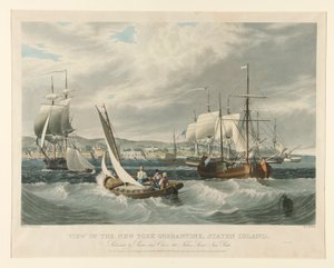 Udsigt over New York Quarantine, Staten Island. af William James Bennett