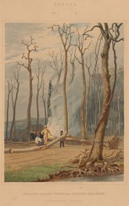 Forår - brændende faldne træer i en omgjord lysning. Western Scene af William James Bennett after George Harvey