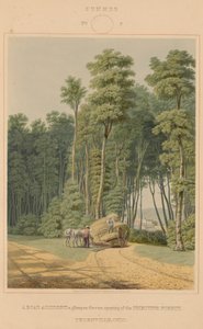 Sommer - et trafikuheld. Et glimt gennem en åbning af Urskoven. Thornville, Ohio af William James Bennett after George Harvey
