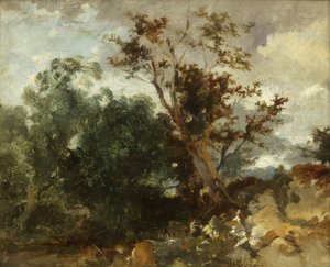 Study of Trees, ca. 1840 (olie på kobber) af William James Muller